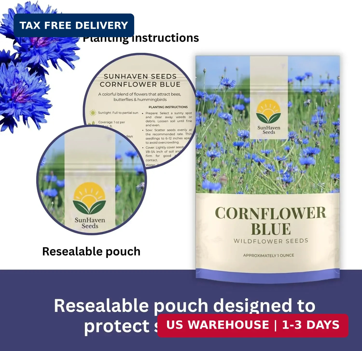 Bachelor Button Seeds - Blue Cornflower - 5,500+ Seeds - 1 oz Bulk Extra Large R gallery
