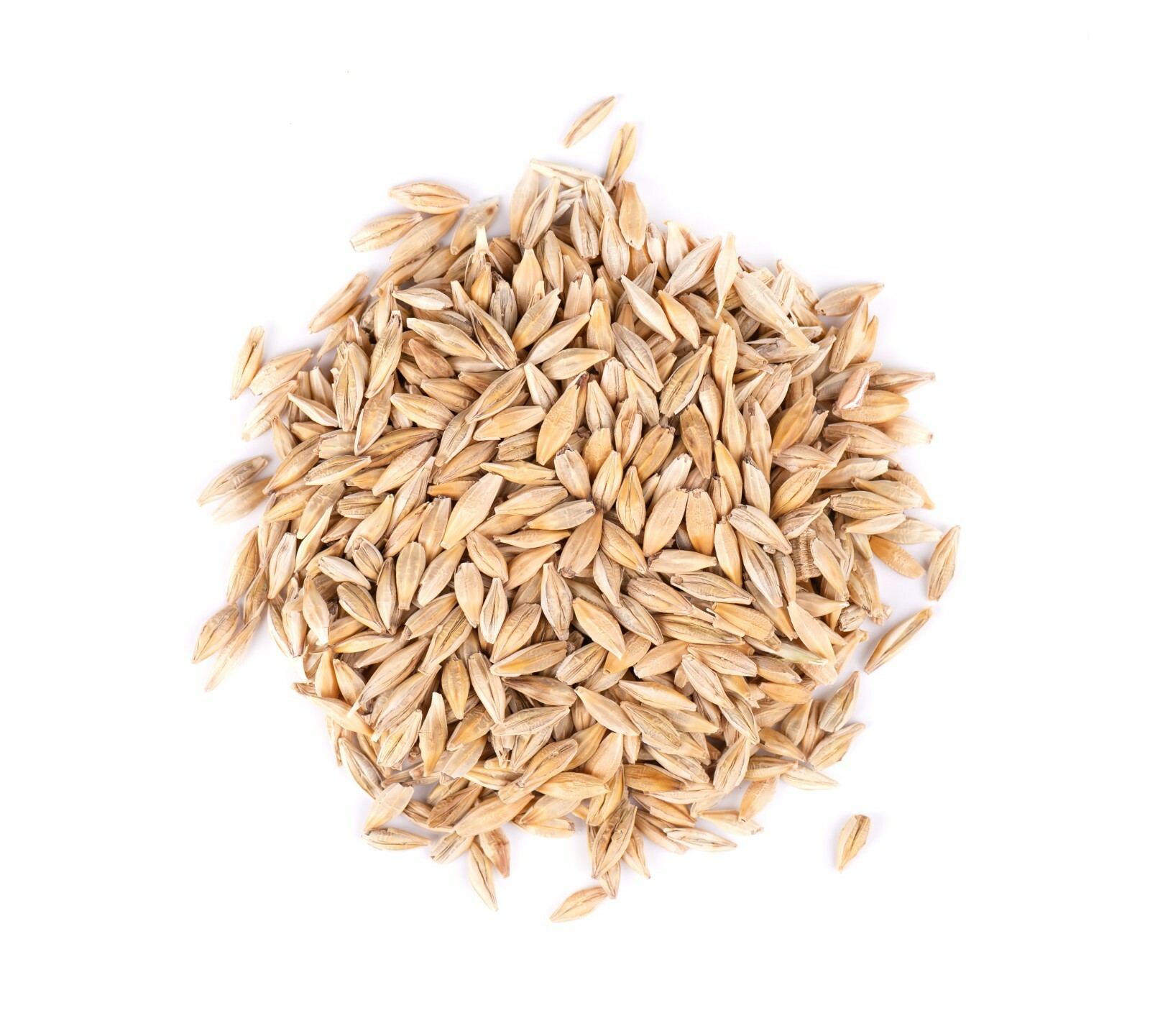 Thunder Acres Barley Seed - Certified Organic - Non-GMO gallery