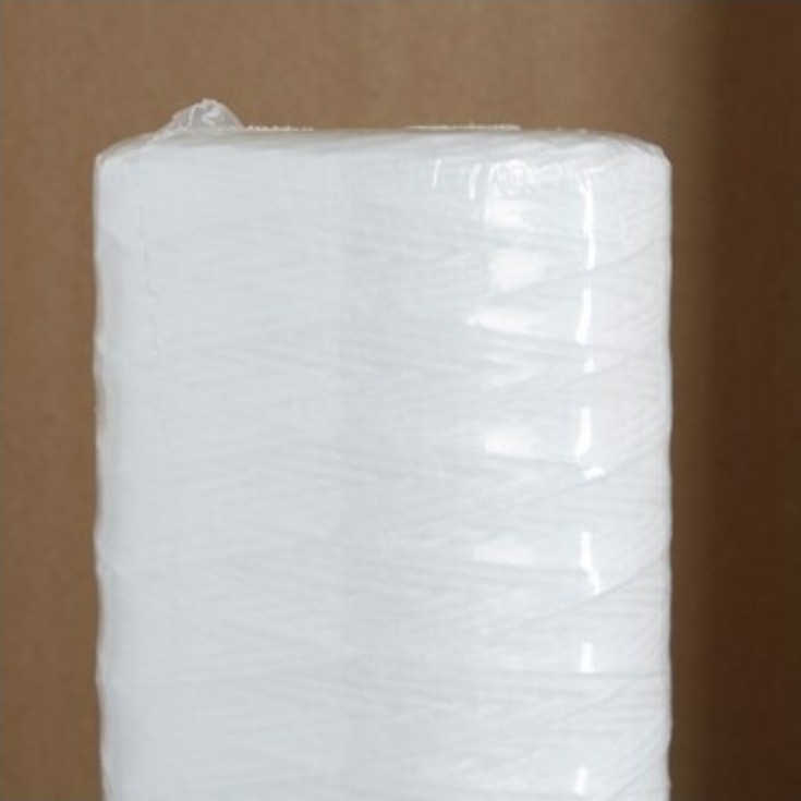 Pentair Single-stage 5-GPM Mechanical Filtration Whole House Water Filtrat..R1W4 gallery