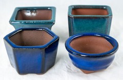 4 Assorted Mini Pots for Mame Shohin Bonsai / Succulent & Accent Plants