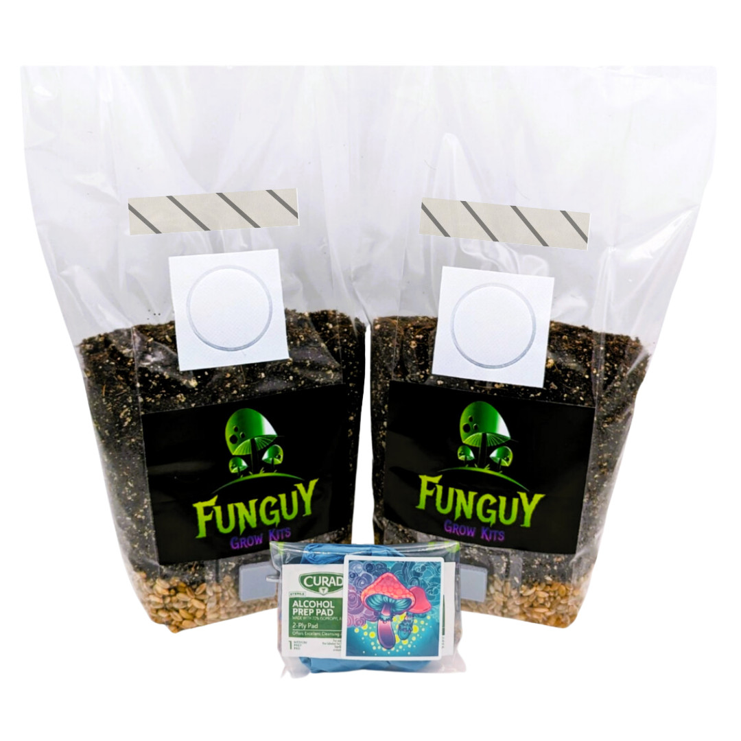 2 All-in-One Mushroom Growing Bags - Kit Dung Loving Grow Substrate & Rye Grain gallery