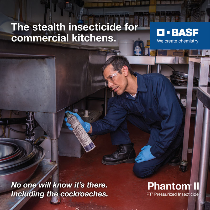 BASF PT Phantom II Pressurized Insecticide Bedbugs 14 oz Can gallery