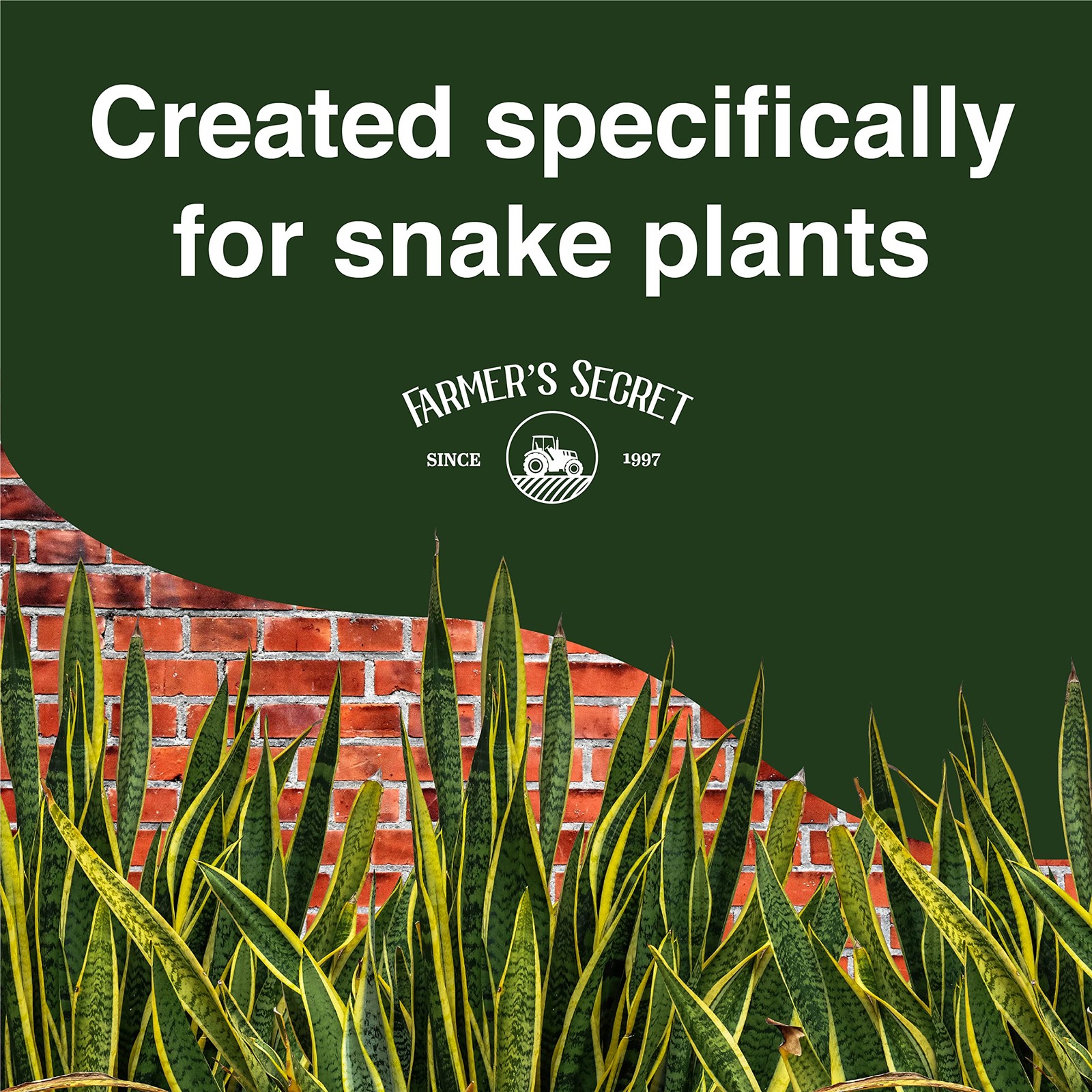 Snake Plant Liquid Fertilizer Strengthen Roots & Boost Growth 8 OZ gallery