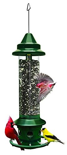 Brome Squirrel Buster Plus Bird Feeder w/ Cardinal Perch Ring 1024 - Squirrel