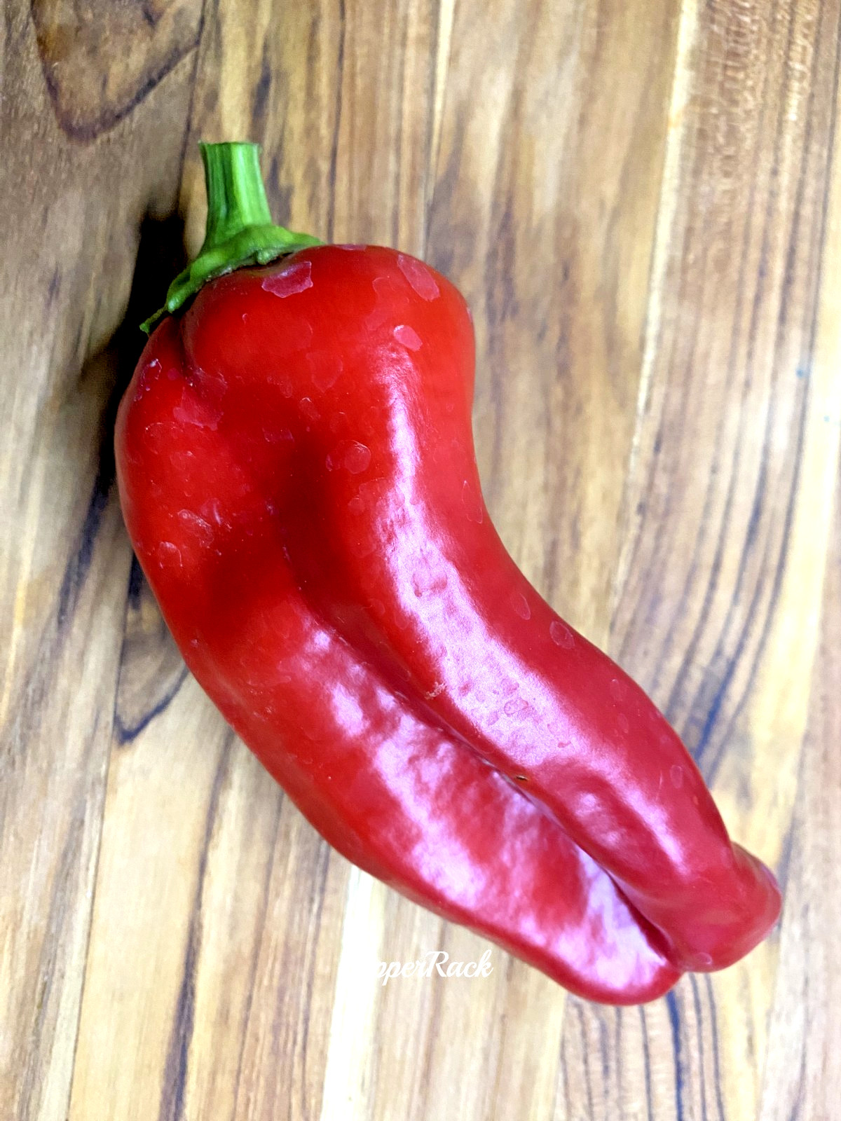 RARE✿ NEW! Turkish Heirloom Kale Sweet Pepper 15+ Seeds ●Crunchy Texture gallery