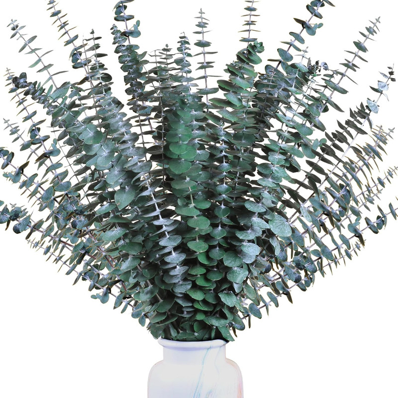 30Pcs Dried Eucalyptus Stems, 17" Real Preserved Eucalyptus Plant for Shower, Fr gallery
