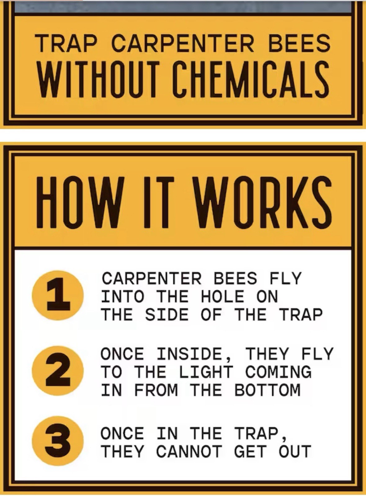 Bees 'N Things Carpenter Bee Trap Reusable Easy Empty Sliding Door Chemical-Free gallery