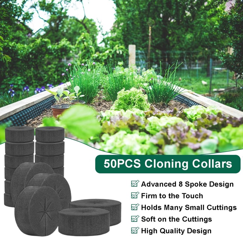 50 Pack Cloning Collars Inserts Premium Grade Foam, DIY Foam Cloner Inserts, ... gallery