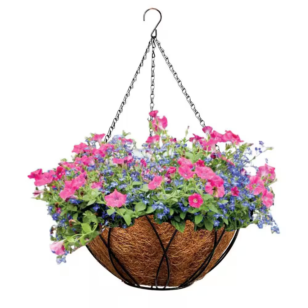 14 In. Devon Hanging Basket with Aquasav Coconut Fiber Liner and Chain gallery