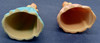 Wilton Cake Topper Bridesmaids Vintage 70's Lady In Pink/ Blue Lot Of 2. 5" tall gallery