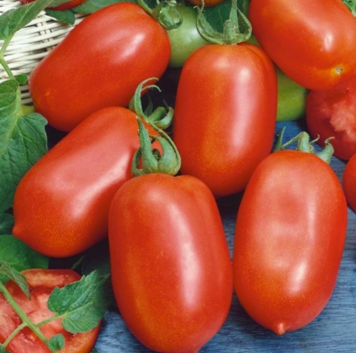 2026 Heirloom Vegetable Seeds - Premium Garden Seeds for Planting gallery