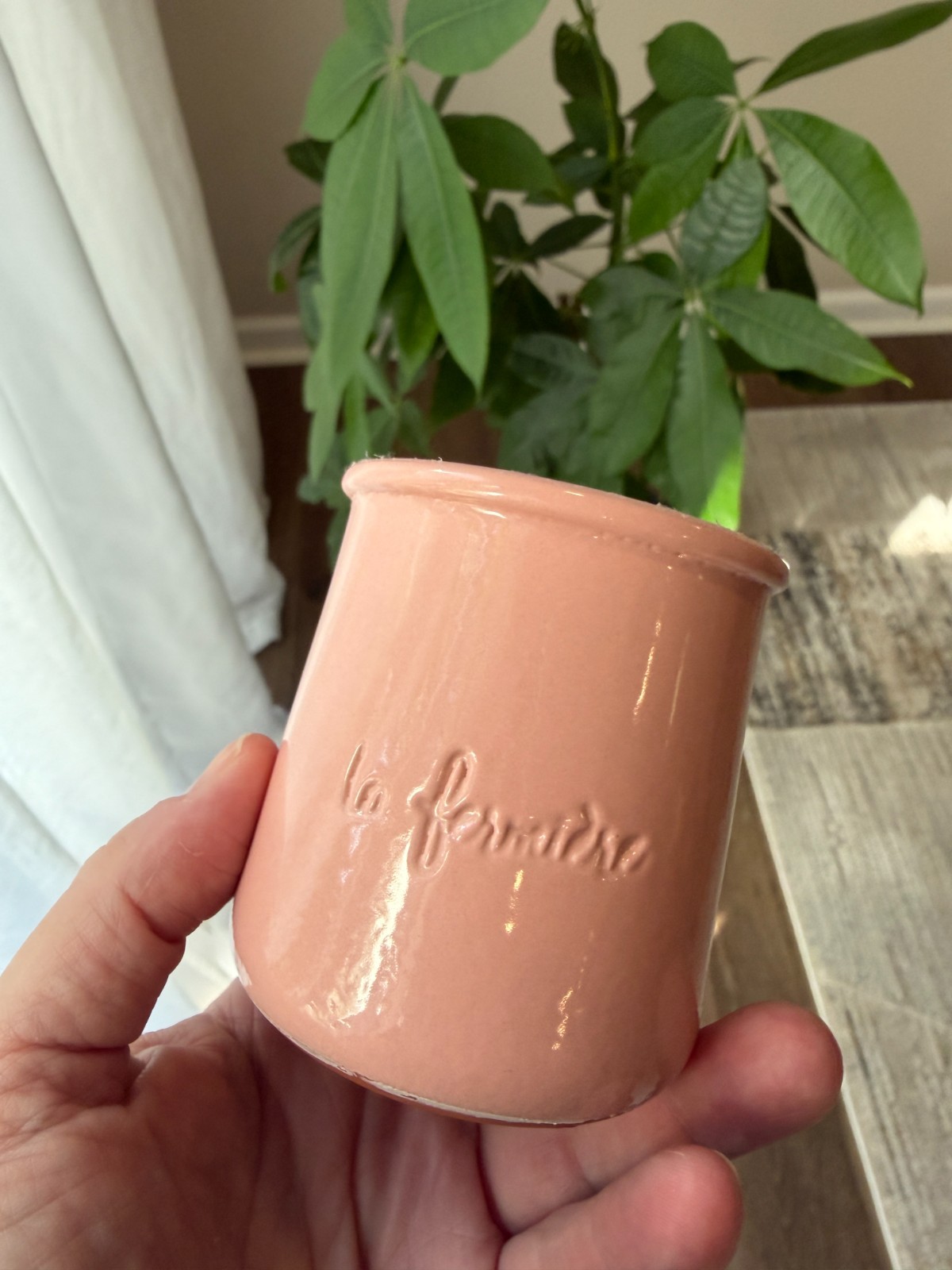 Pastel Limited Edition Seashell Pink Summer La Fermiere Crock Pot Jar Terracotta gallery