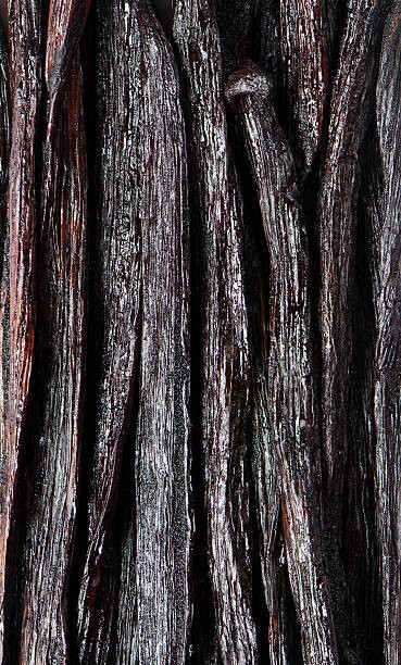 Madagascar Vanilla Bean Vanilla Beans baking Grade A Pods -1lb gallery