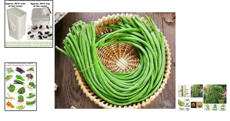 Space-Saving Non-GMO Yard Long Bean Seeds - Ideal for Containers & Trellises gallery
