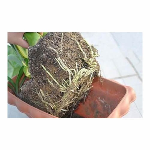 Soil Vigor Potassium Polymer – Superabsorbent Soil Conditioner, Retains Moisture gallery