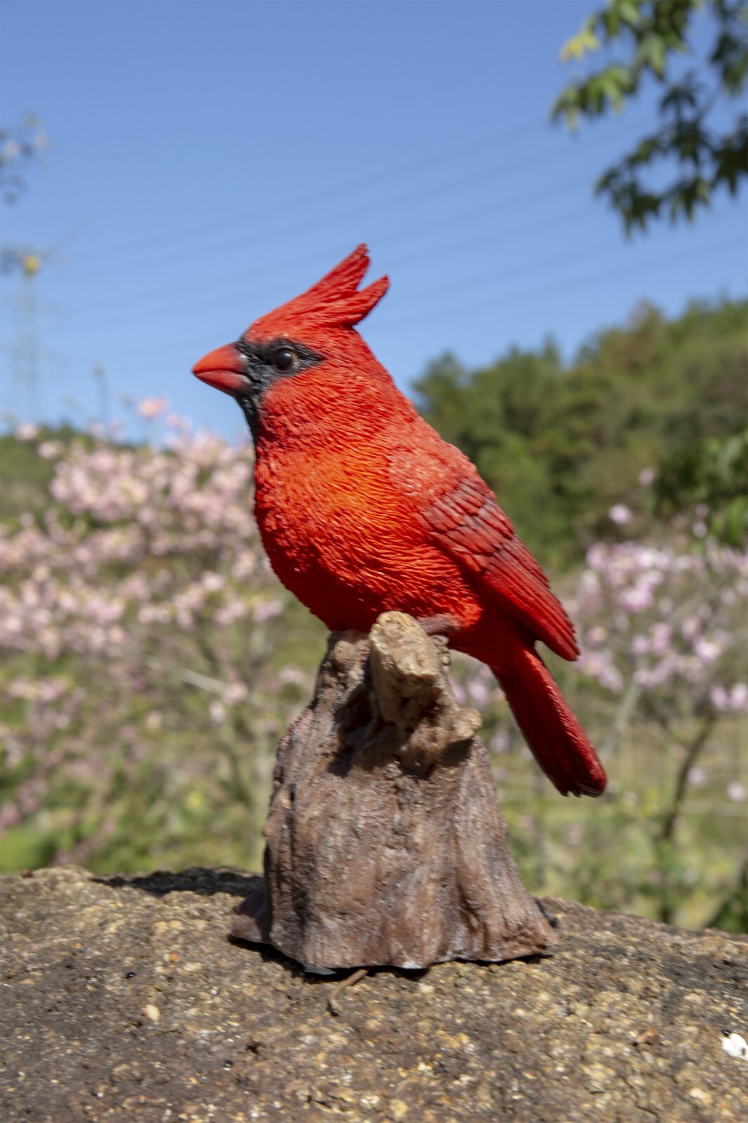 Motion Activated Cardinal on Stump Bird Home Tabletop Decor Indoor Use Only gallery