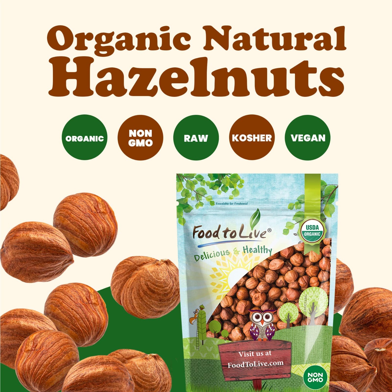 Organic Hazelnuts - Non-GMO, Kosher, Raw, Vegan - by Food To Live gallery