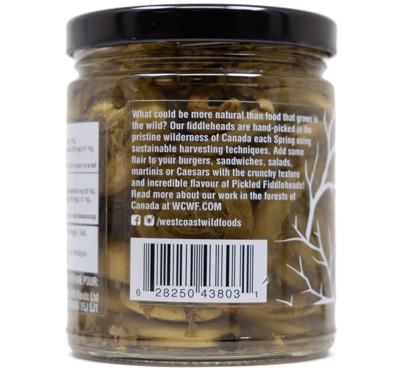 (2 Pack) Wild Pickled Fiddleheads pack of 2 gallery