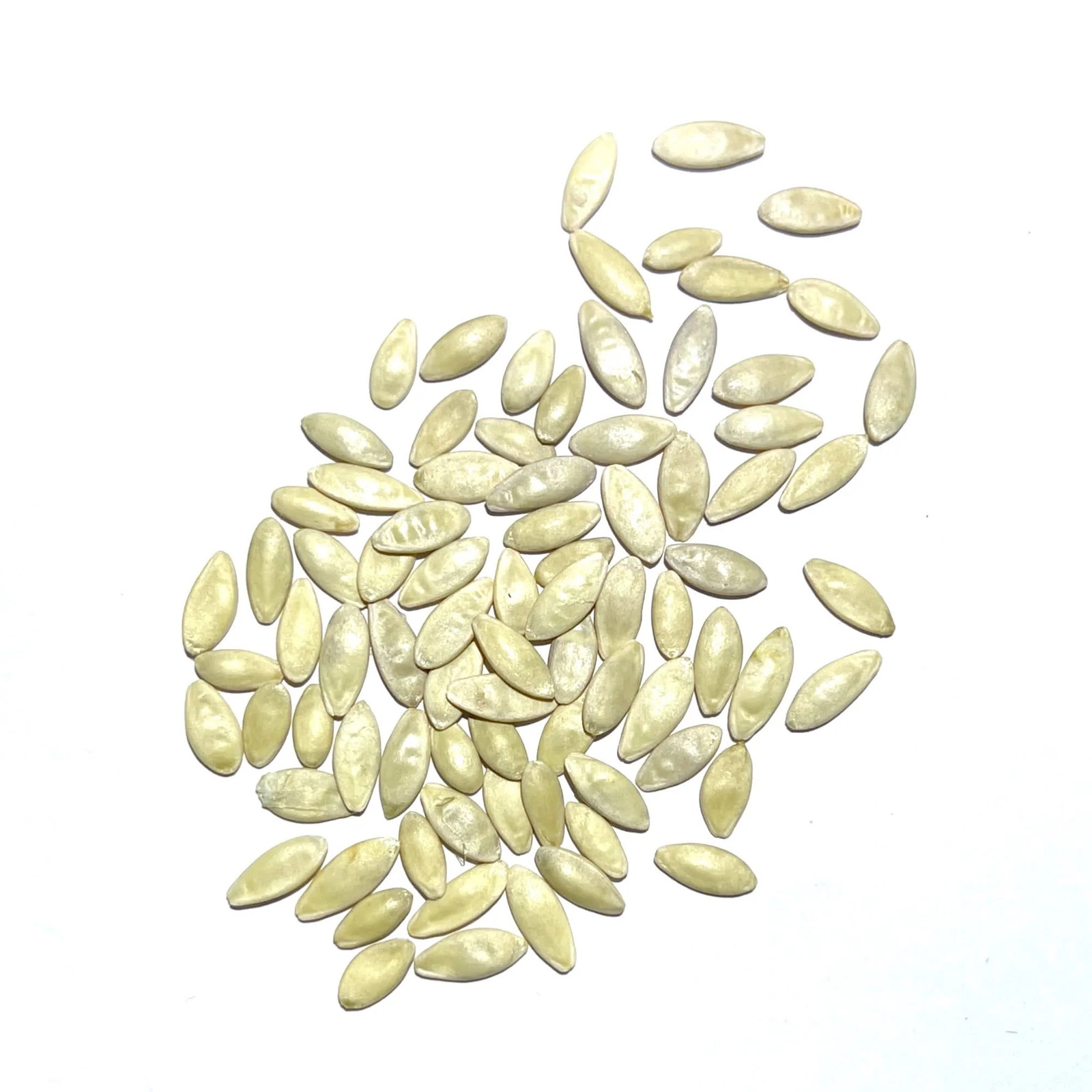 Spacemaster 80 Cucumber Seeds For Planting (Cucumis sativus) gallery
