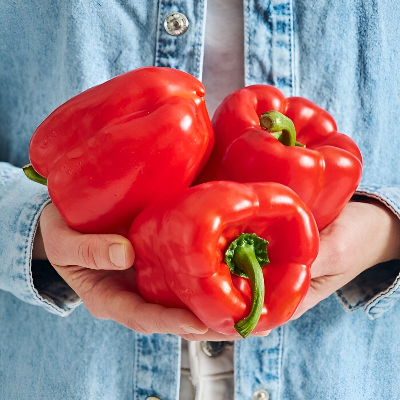 60 Heirloom Big Red Bell Pepper Seeds - Huge Sweet Red Bell Pepper - Zero Heat gallery