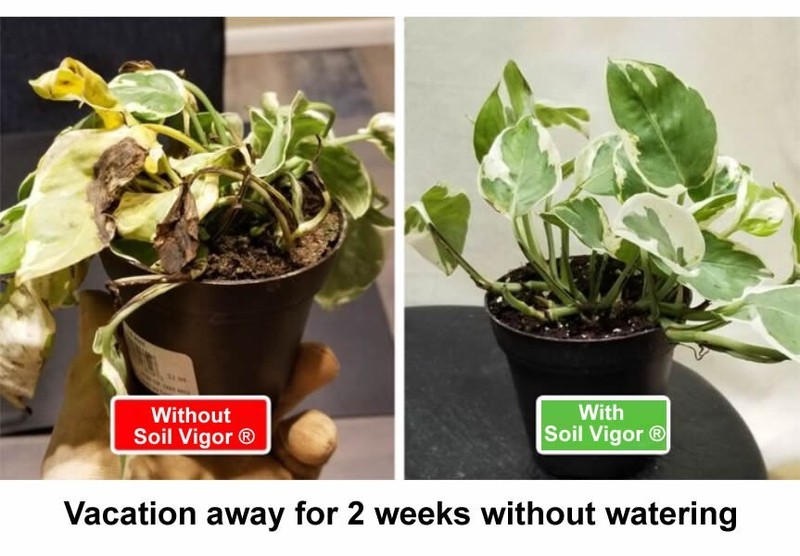 Soil Vigor Potassium Superabsorbent Polymer: Water-Storing Gel for Plant 5 Lbs. gallery