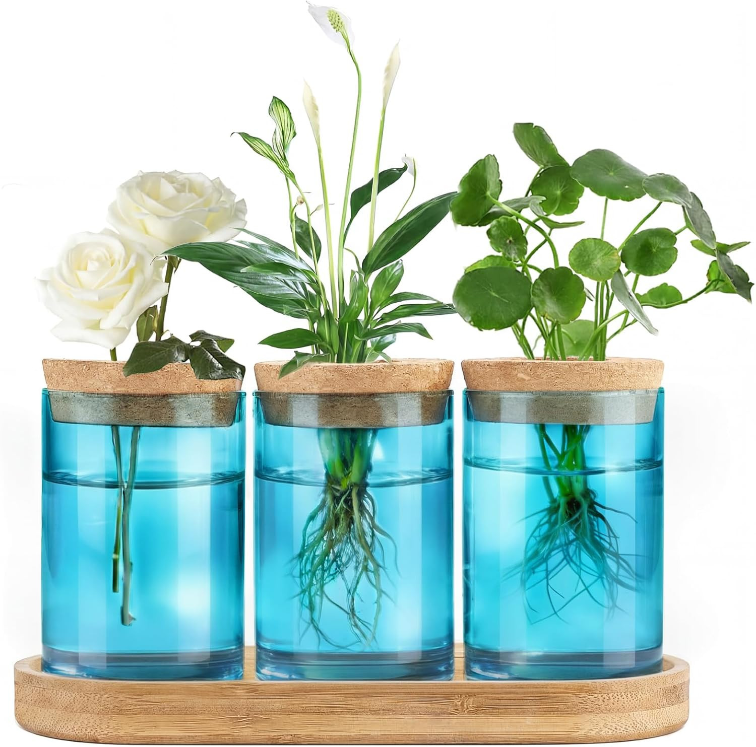 Blue Plant Propagation Terrarium Desktop Glass Planter Station Water Planting Gl gallery