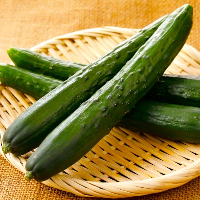 25+ Japanese Long Burpless Cucumber Seeds -- Heirloom --- NON GMO gallery
