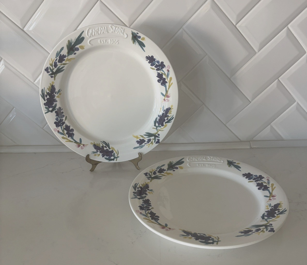 Set of x2~Haven & Key~Bluebonnet Dinner Plates~10 1/2"~General Store~2021~NEW gallery
