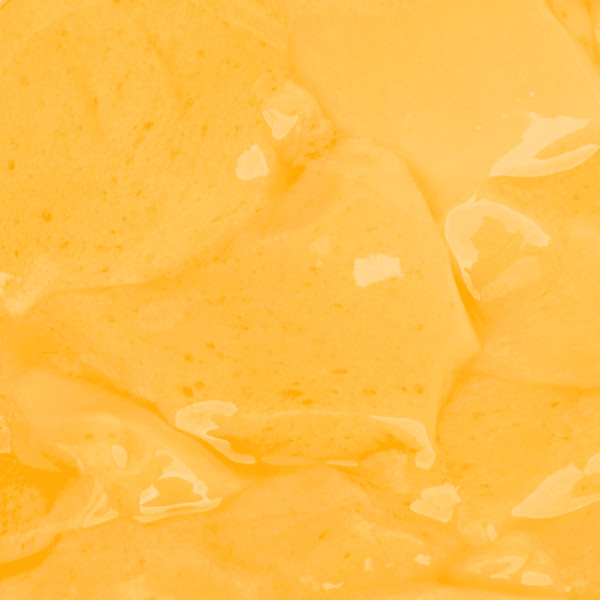Tea Zone Custard Pudding Mix - Bag (2.2 lbs), P3005 gallery