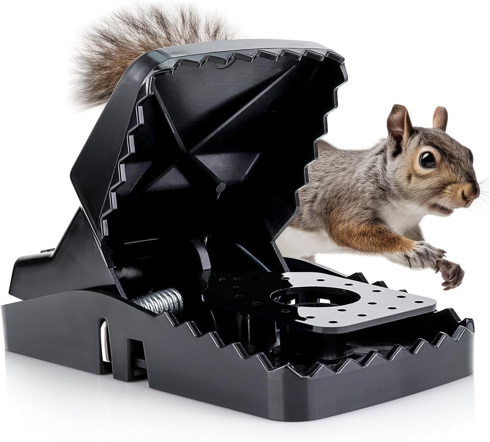 Squirrel Trap (2 Pack) - Consistent & Humane Kill Every Time with no Failures -