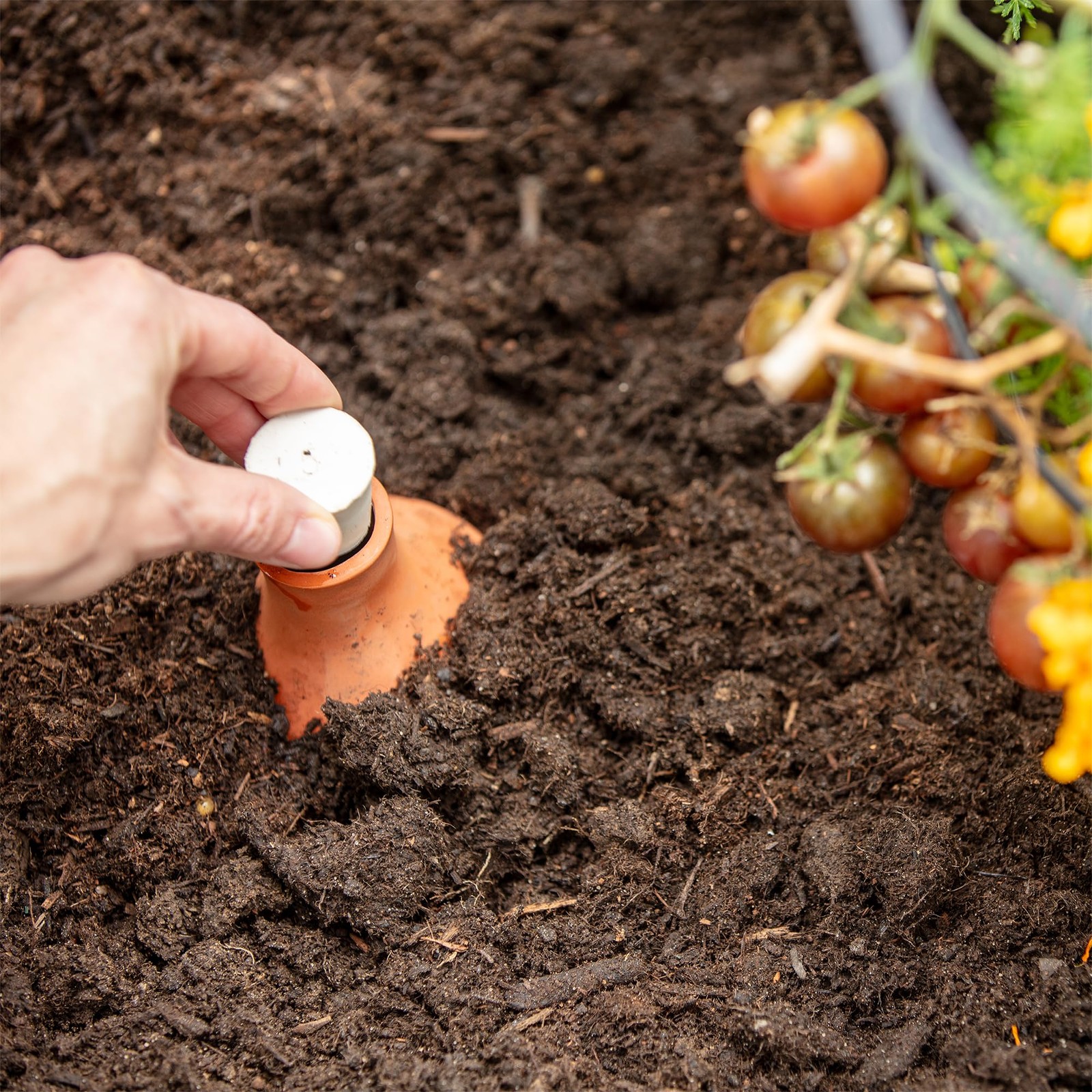 Back to the Roots Self-Watering Terracotta Olla Pot, 700mL Provides 1 Week of Pr gallery