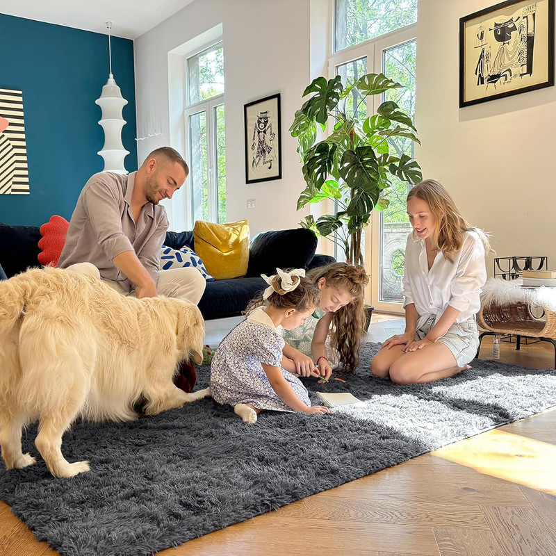 2x3 Machine Washable Small Bedside Rug, Soft Fluffy Shaggy Entryway Throw Rugs f gallery
