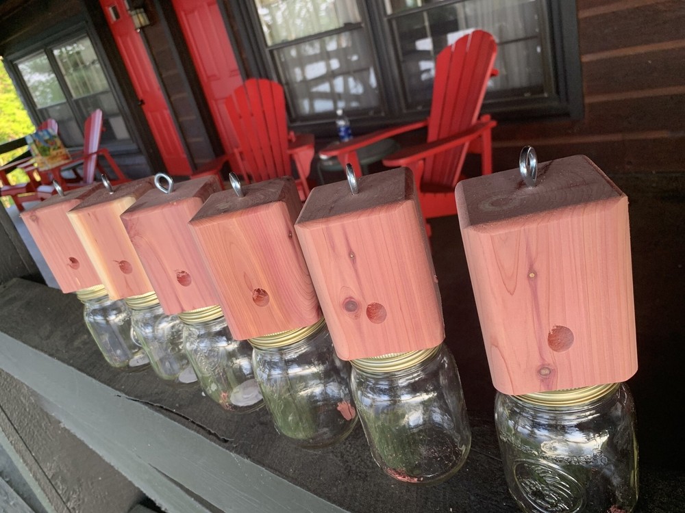 6 Red Cedar carpenter bee-bore cedar traps FREE SHIPPING