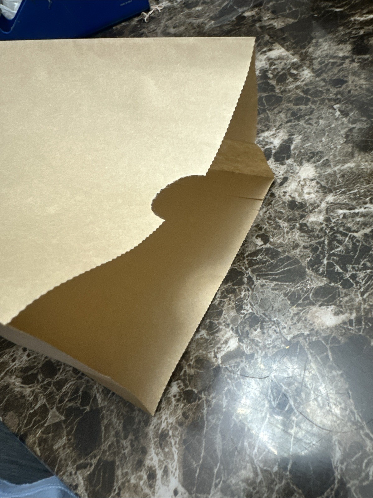 100 Pack KRAFT Flat Paper Merchandise Bags 6”x12.5” x 3.5” gallery