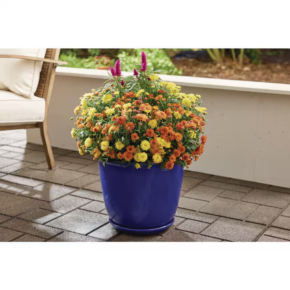 14 In Delphine Blue Glazed Plastic Planter with Drainage Hole & Saucer 14x12 In gallery