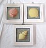 Sea Shell Seashell Wall Plaque Set of 3 Coastal Beach Decor gallery