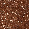 Coconut Coir - Coco Peat & Perlite 50/50 ORGANIC GROWING MEDIA for Garden Plants gallery