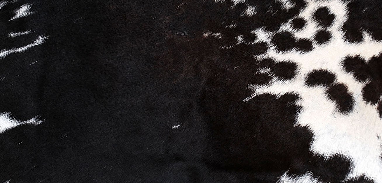 100% NEW COWHIDE LEATHER CUSHION COVER RUG COW HIDE HAIR (24" x 12") SA-8110 gallery