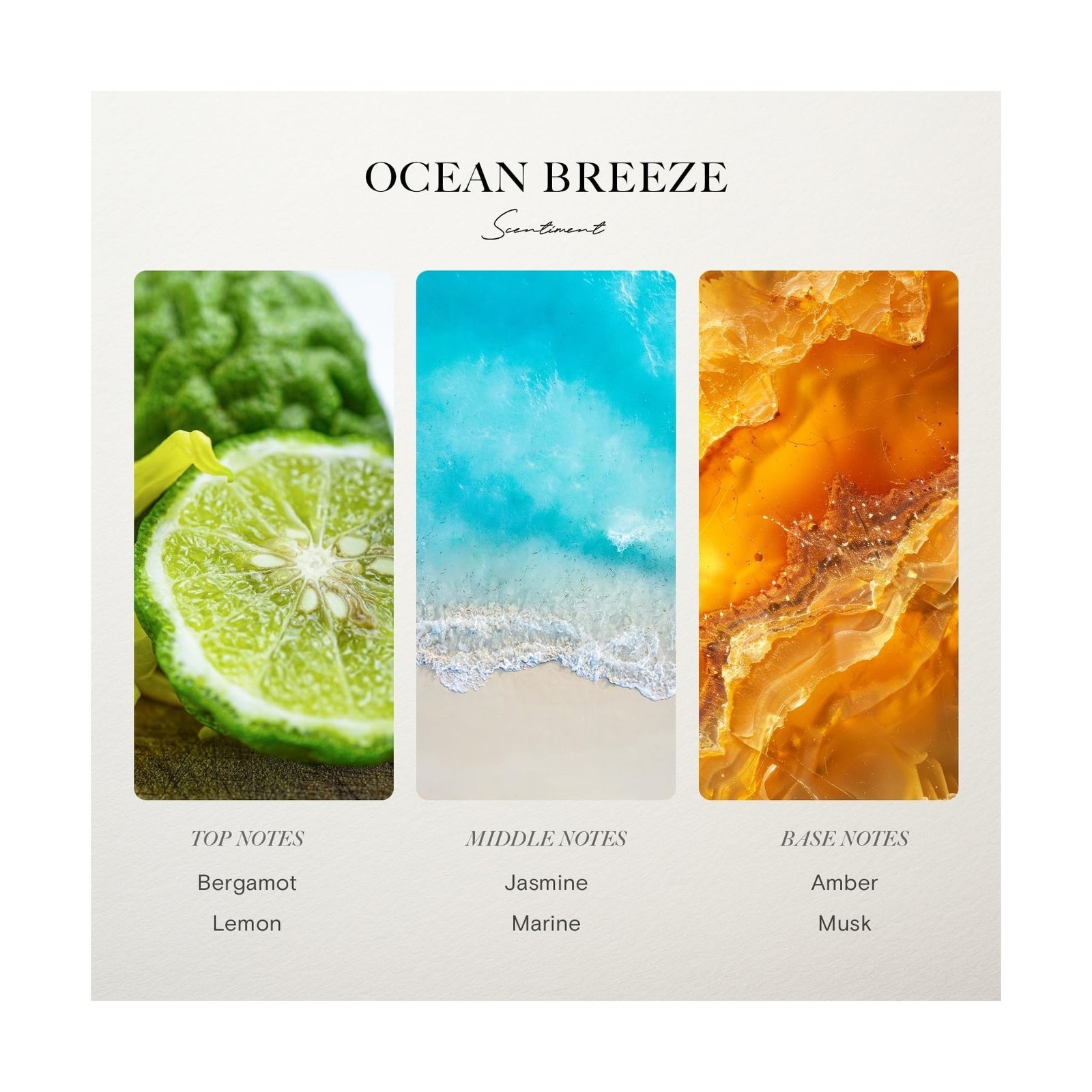 Scentiment Diffuser Oil - Ocean Breeze | Inspired by Five Star Hotels' Lobby ... gallery