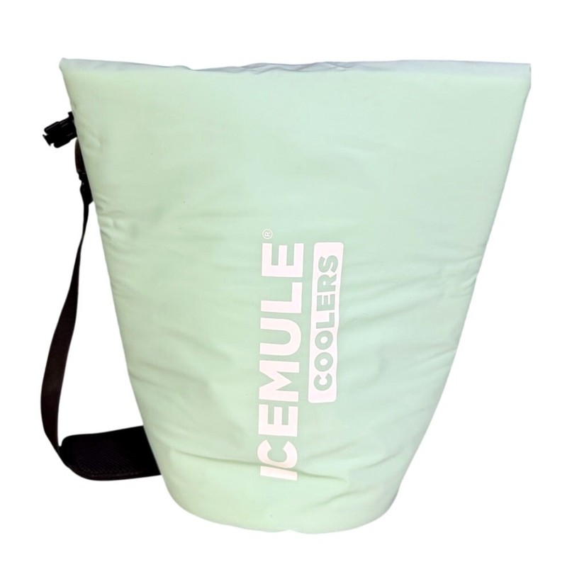 ICEMULE Classic Medium Soft Collapsible Cooler 15L 24 | Seafoam Green 24 Cans gallery