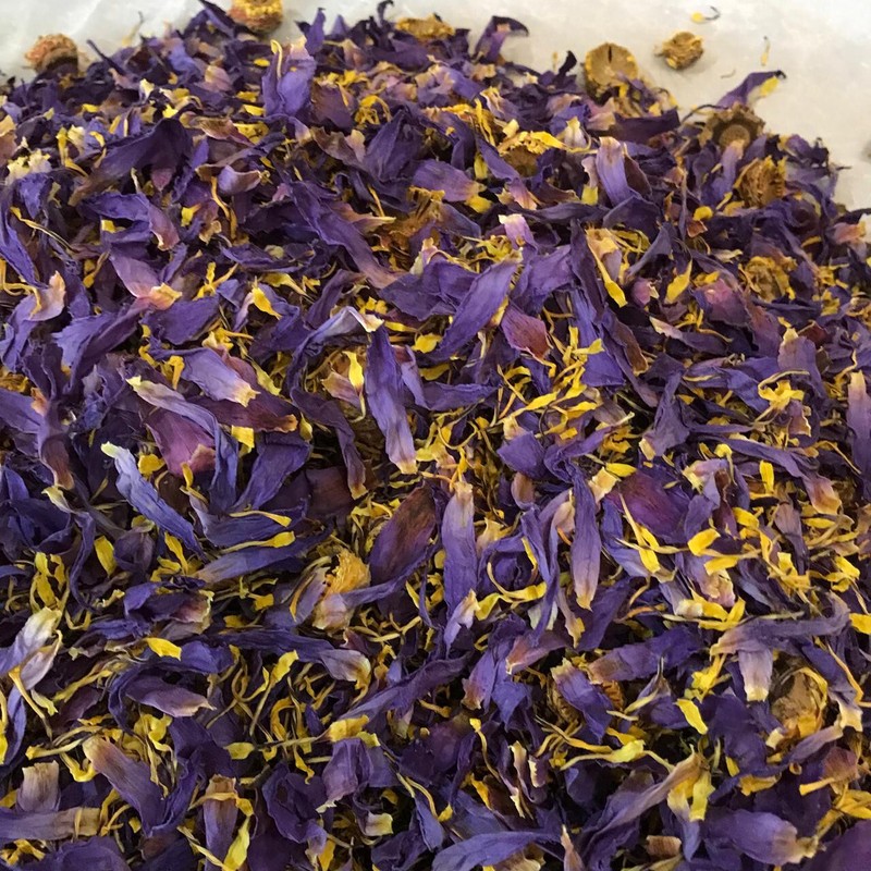 Cut Blue Lotus Dried Flower Nymphaea Caerulea Hand Picked Pure Ceylon Herbal Tea gallery