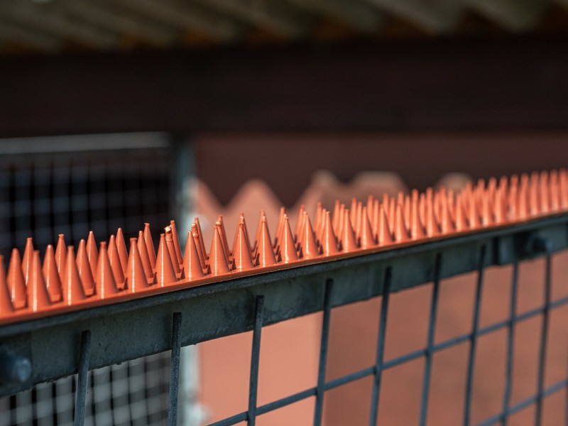 Fence Wall Spikes Garden Security Intruder Repellent Burglar Anti Cat Climb Bird gallery
