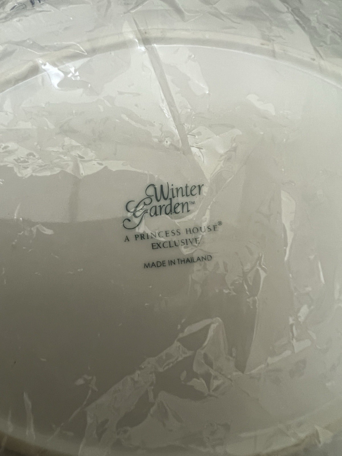 1236 Princess HOUSE EXCLUSIVE Winter Garden Porcelain Rectangular Dish /Tray NIB gallery