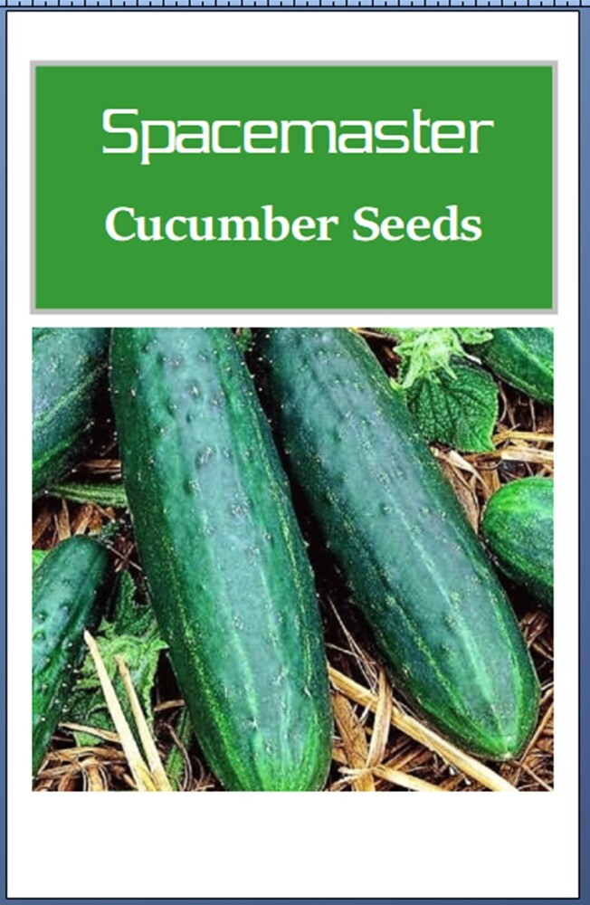 Spacemaster 80 Cucumber Seeds | NON-GMO | Heirloom | Fresh Garden Seeds gallery
