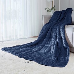 ALANSMA Reversible Weighted Blanket for All Season, Luxury Velvet, Warm and Cool