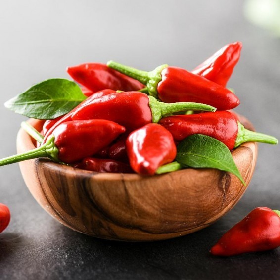 Small Red Chile Hot Pepper, Chile de Árbol, Mild Heat, NON-GMO, FREE SHIPPING gallery