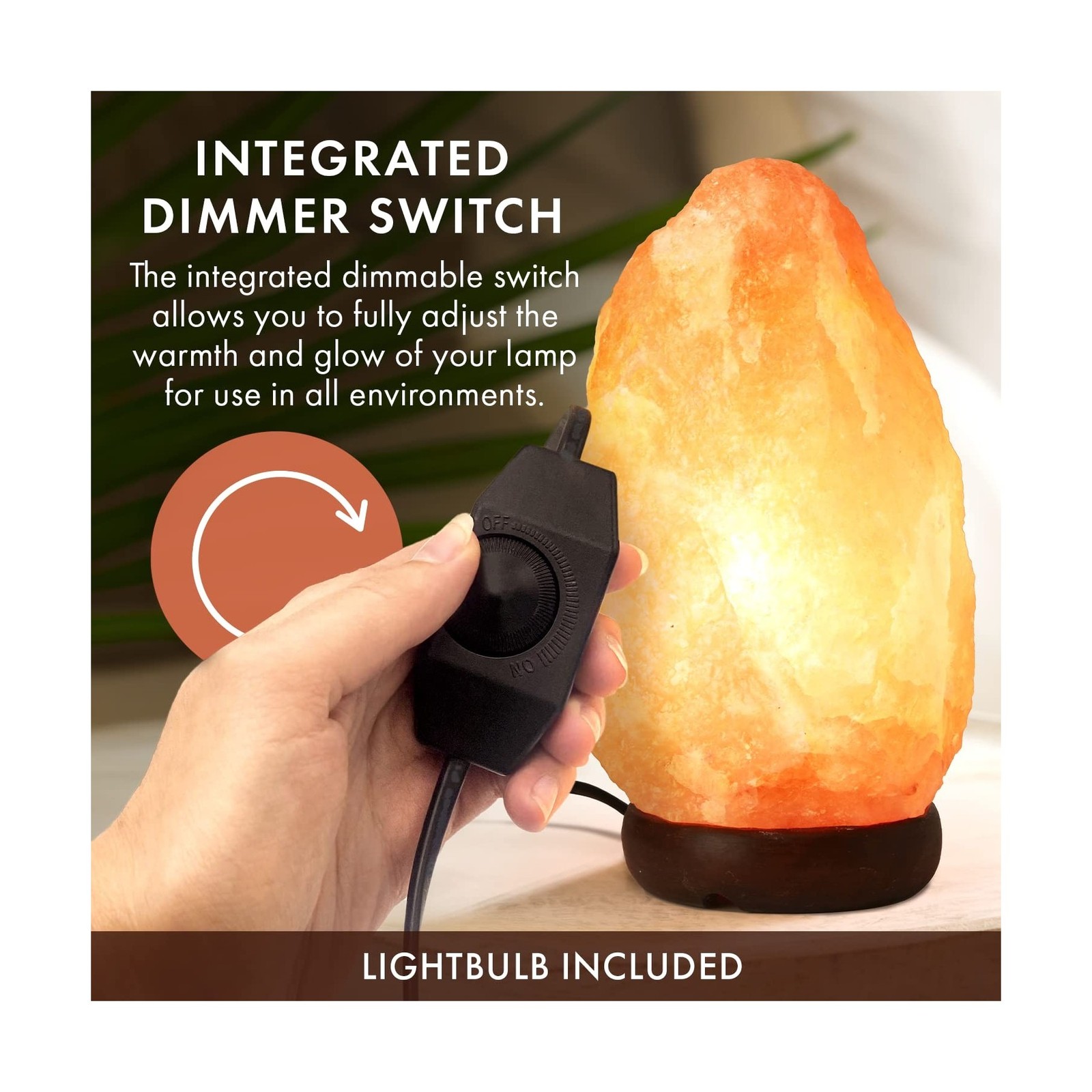 The Body Source Himalayan Salt Rock Lamp | 6-8 Inch (4-7 lb) | Natu... Fast Ship gallery