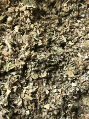 Lobelia Mullein Coltsfoot Osha Root Mint Plus More! No.23 Herbal Blend Mix Tea