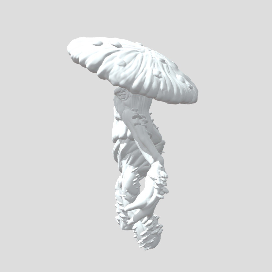 Mushroom Creature 3D Printed Figure – 5 inch Fantasy DnD Monster / Desk Decor gallery