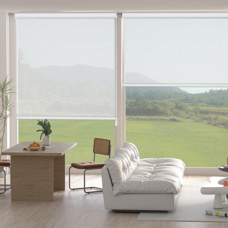 Changshade CUSTOM Light Filtering Window Blinds Roller Shades Easy Installation gallery